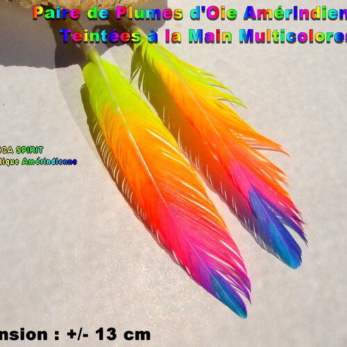 Lot #7- paire de plumes d'oie tribal ethnique teinture artisanale multicolore +/- 13 cm