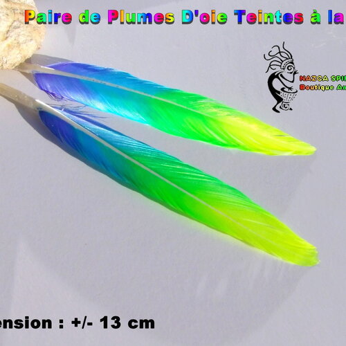 Lot 2 - paire de plumes d'oie tribal ethnique teinture artisanale multicolore +/- 13 cm