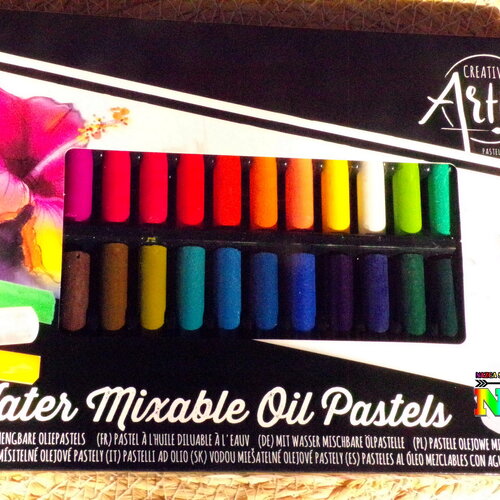 Grande boite de 30 pastels à l'huile miscibles à l'eau - pastels d'art qualité professionnelle pour dessin et loisirs - boitier 30 couleurs