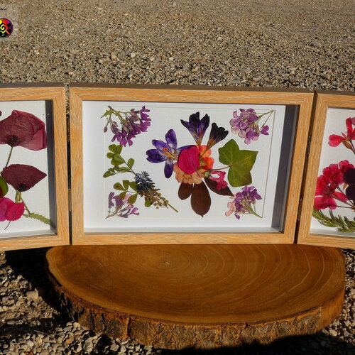 Composition fleurs séchées de 50 cm (&quot;19.68) de large à poser - tableau triptyque artisanal décoration maison  - fleurs naturelles été 2021
