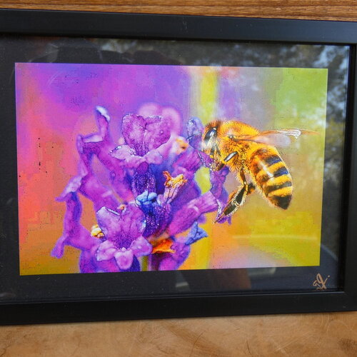 Photo artistique de provence, photographie professionnelle, création artisanale, papier photo haute qualité, photo sous cadre 20 cm x 15 cm