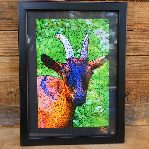 Photo artistique de provence, photographie professionnelle, création artisanale, papier photo haute qualité, photo sous cadre 20 cm x 15 cm