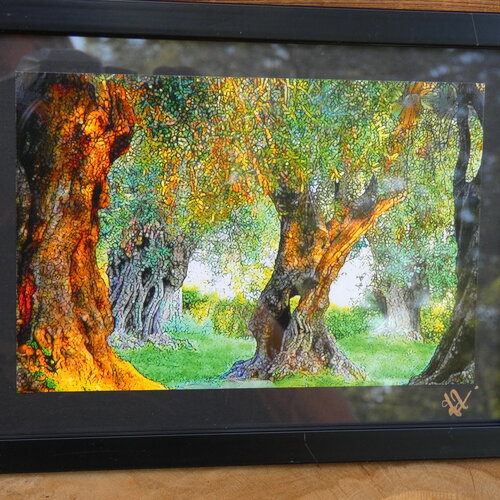 Photo artistique de provence, photographie professionnelle, création artisanale, papier photo haute qualité, photo sous cadre 20 cm x 15 cm