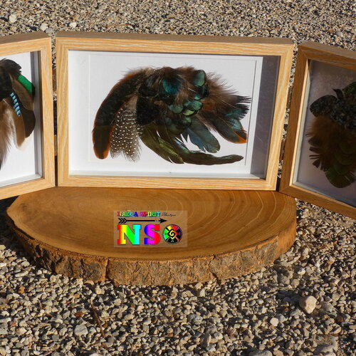 Composition plumes naturelles rares de 50 cm (&quot;19.68) de large à poser - tableau triptyque artisanal décoration maison - plumes iridescentes