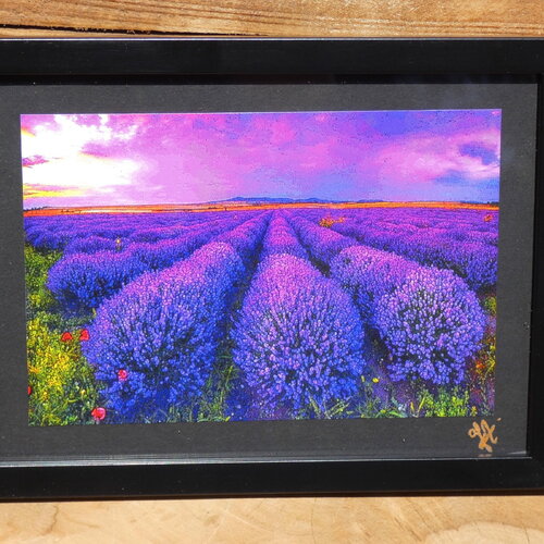 Photo artistique de provence, photographie professionnelle, création artisanale, papier photo haute qualité, photo sous cadre 20 cm x 15 cm