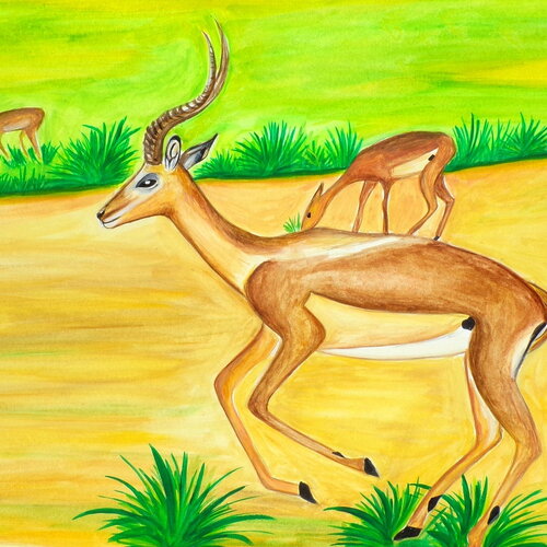 Aquarelle revisitée représentant une gazelle impala africaine sur papier aquarelle format a3 - 300 g