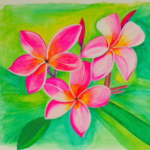 Aquarelle revisitée représentant des fleurs de frangipanier sur papier aquarelle format a3 - 300 g