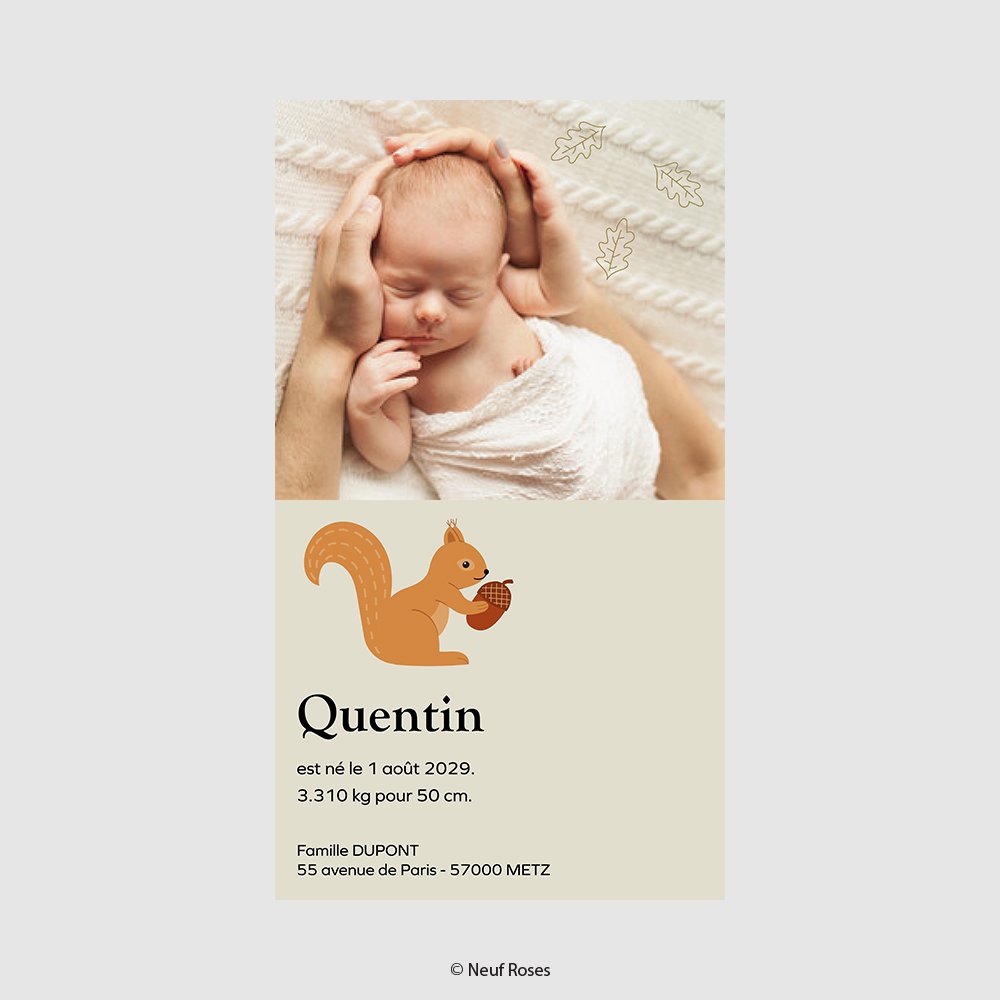 Faire Part Naissance Numerique Ecureuil Un Grand Marche