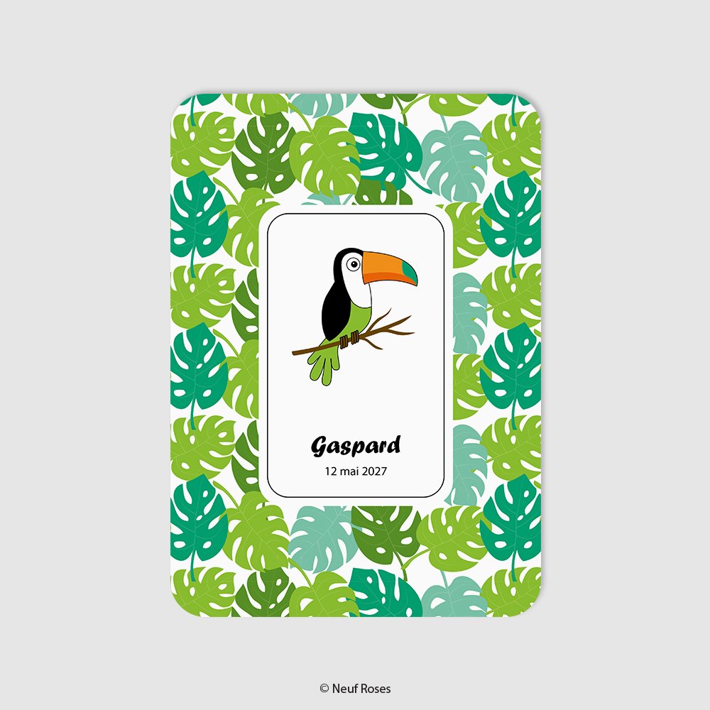 Faire Part Naissance Toucan Un Grand Marche