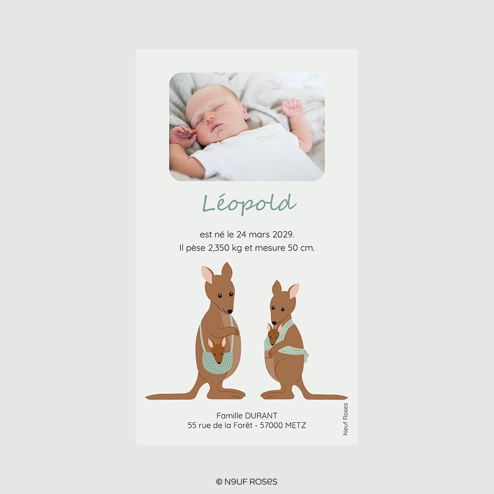 Faire Part Naissance Numerique Famille Kangourou Un Grand Marche