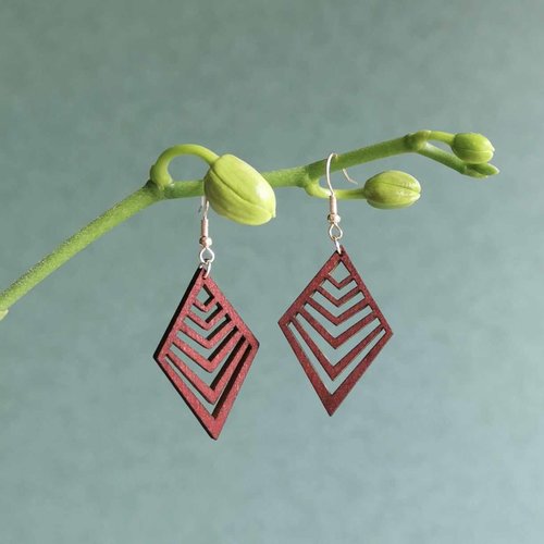 Boucles d'oreille bois