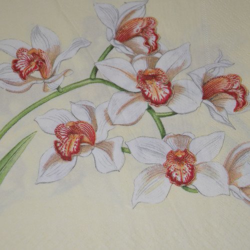 Serviette en papier protégée brin d'orchidées - blanc, rouge