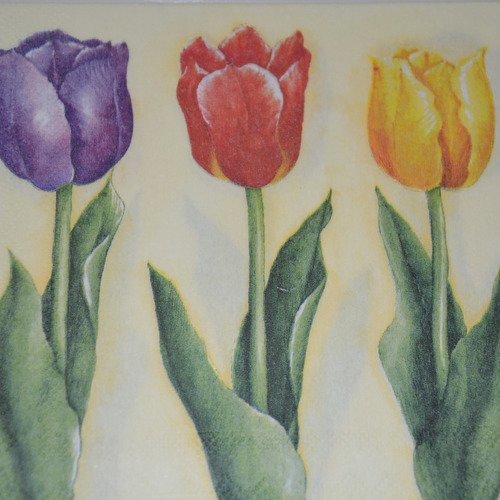 Serviette en papier protégée tulipes - violet, rouge, jaune