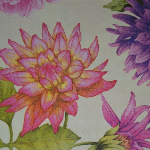 Serviette en papier protégée chrysanthèmes - violet, rose, orange