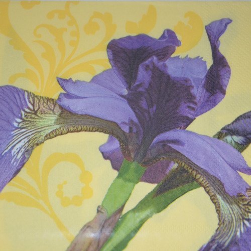 Serviette en papier protégée iris - violet, jaune, vert