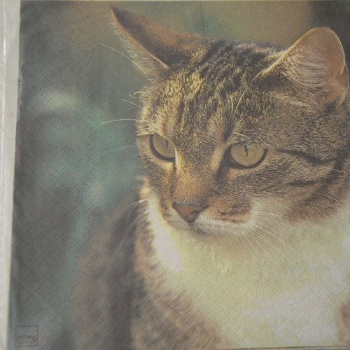 Serviette en papier protégée photo de chat - gris, vert
