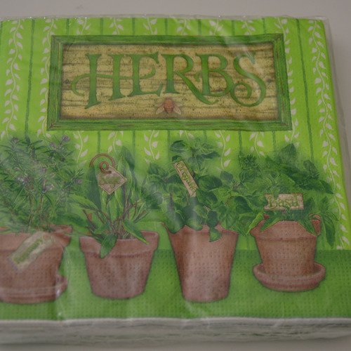 20 serviettes en papier motifs pots de plantes - vert, marron