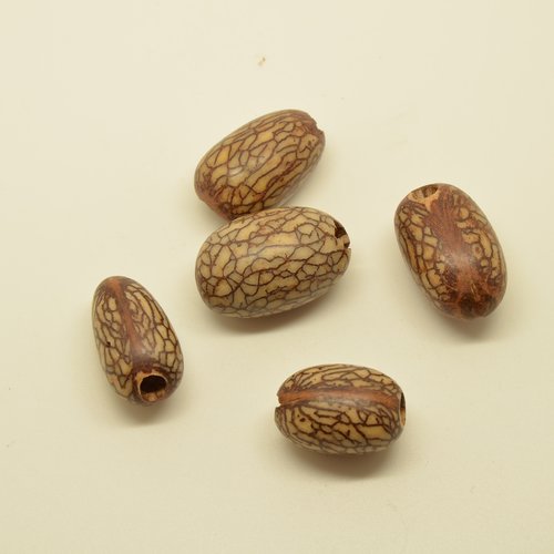5 grosses perles ethniques graines - marron, beige - 18 à 24mm