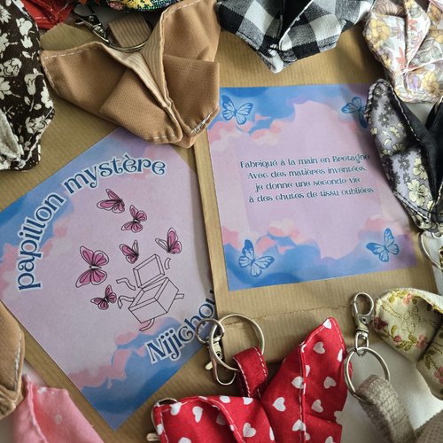 Papillon mystère