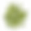 3 graines elettaria cardamomum, cardamome, cardamone