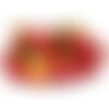 25 graines de piment red cherry