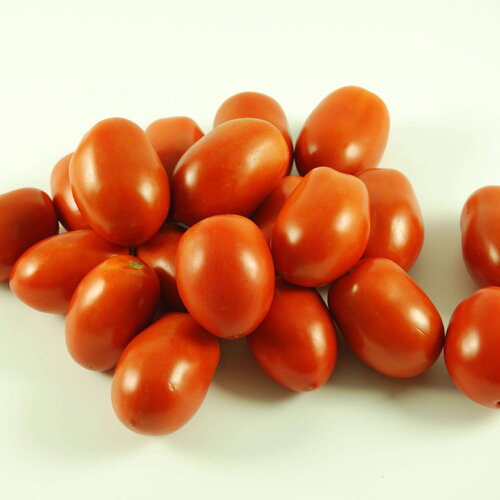 20 graines de tomate rio grande