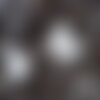 3 graines de coton mexicain, gossypium hirsutum, coton pays