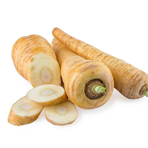50 graines de panais demi-long de guernesey, pastinaca sativa