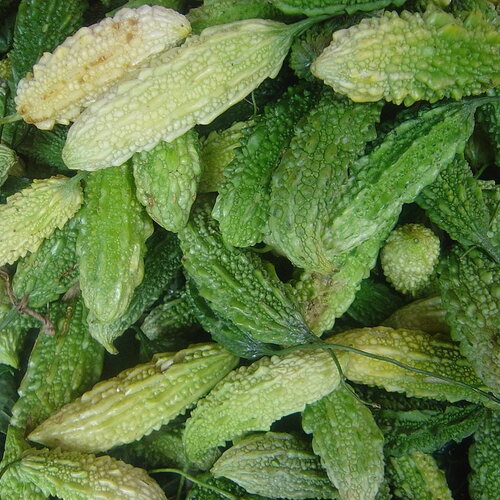 3 graines momordica charantia, margose, melon amer, momordique