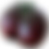 25 graines de tomate brandywine noire, solanum lycopersicum