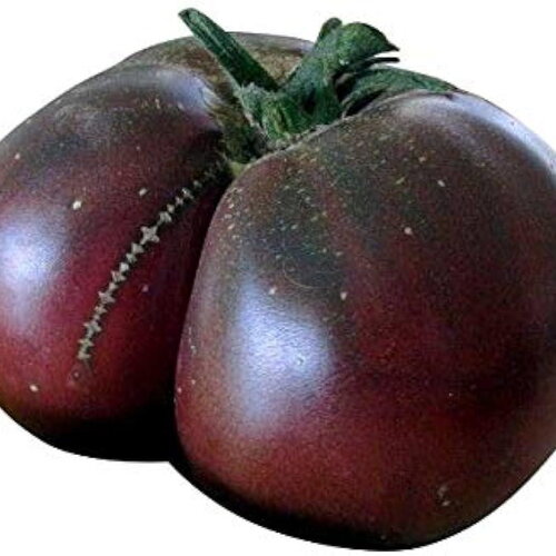 25 graines de tomate brandywine noire, solanum lycopersicum