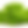 50 graines de laitue lollo bionda, lactuca sativa