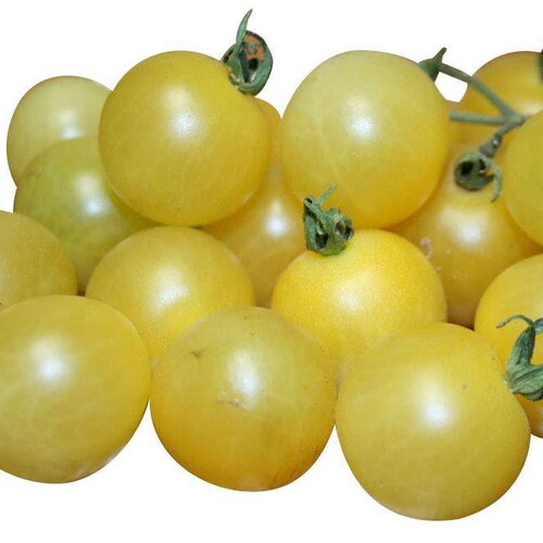 20 graines de tomate white cherry, tomate cerise blanche