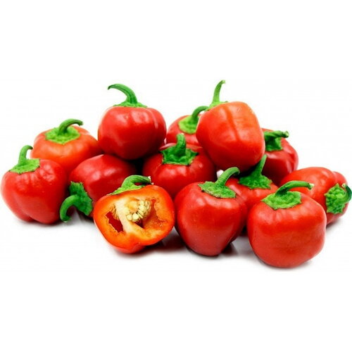 20 graines de poivron mini bell red
