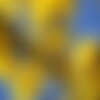 3 graines tabebuia chrysantha, handroanthus chrysanthus