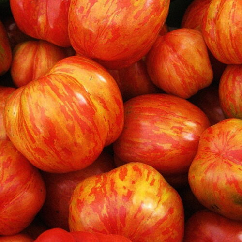 20 graines de tomate tigerella