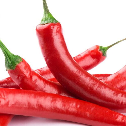 25 graines de piment géant rouge