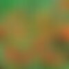 Mélange 50 graines fleurs, camaïeu orange prairie, mix fleurs