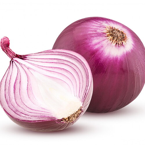 30 graines oignon rouge créole red créole allium cepa