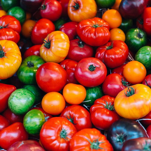 25 graines de tomates en mélange solanum lycopersicum (orange banana, ananas, rose de bernes)