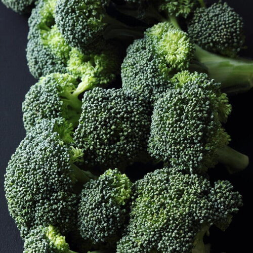 50 graines de chou brocoli calabrese, brassica oleracea