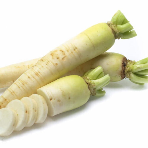 50 graines de radis blanc du japon daikon agata, raphanus sativus var. niger
