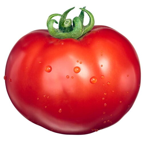 20 graines de tomate marglobe