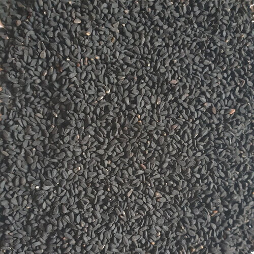 10 graines de nigella sativa, cumin noir