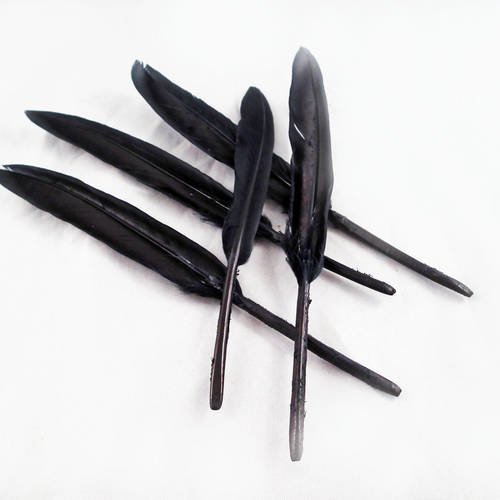 Sp39 - lot de 5 plumes synthétiques de couleur noir, longueur moyenne 13cm. 