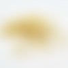 Cef56d - lot de 20 petits clous tige à oeil forme de vis de couleur doré de 15mm 