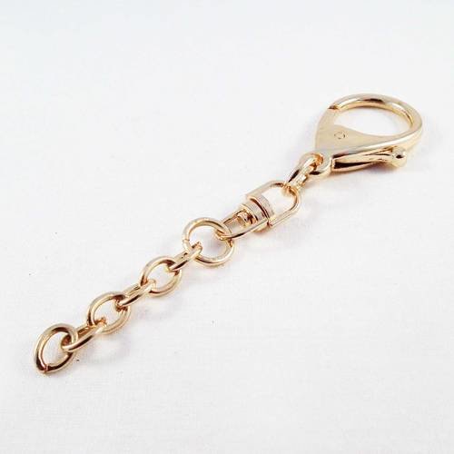 Porte-clés bijoux de sac de couleur doré champagne luxe griffe 