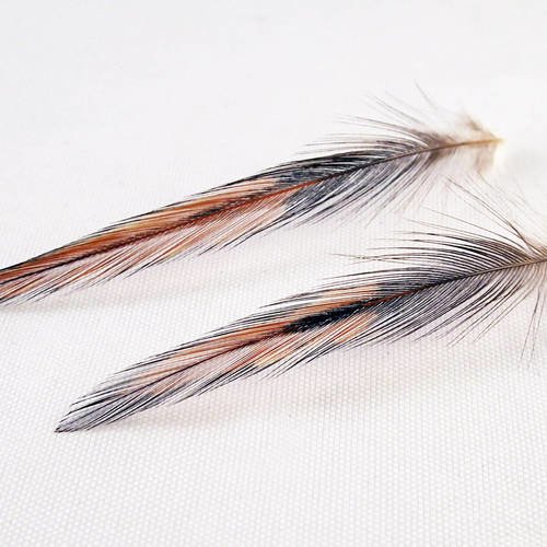 Lot de 2 plumes naturelles lancette de coq top qualité de couleur marron et noir 