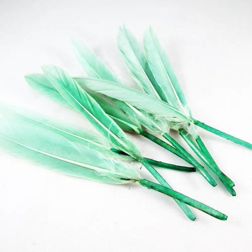 Lot de 5 plumes de couleur verte de 10cm à 13cm 