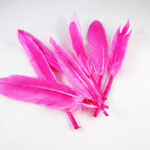 Lot de 5 plumes de couleur rose de 10cm à 13cm 